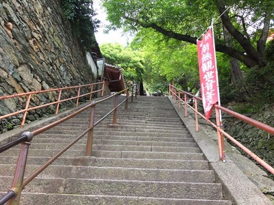 DSCF6597_R