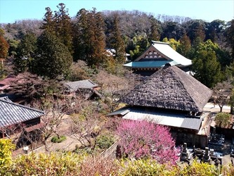 DSCF8343_R