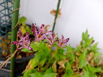 DSCF2192_R