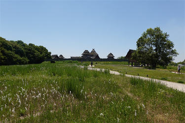 DSC07963_R