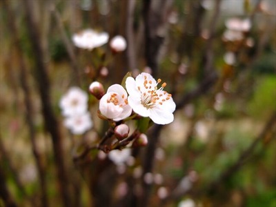 DSCF1360_R