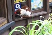 DSCF3910_R