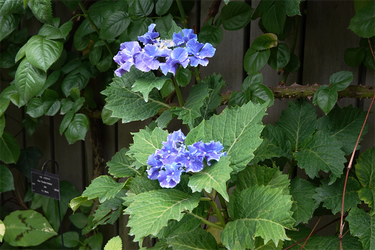 DSC08410_R