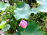 DSCF2673_R