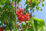 DSCF2975_R
