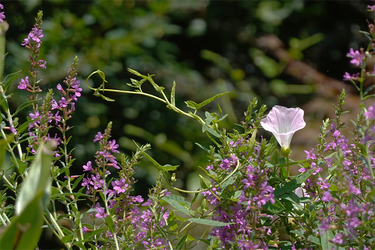 DSC09022_R
