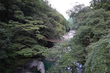 DSC09386_R