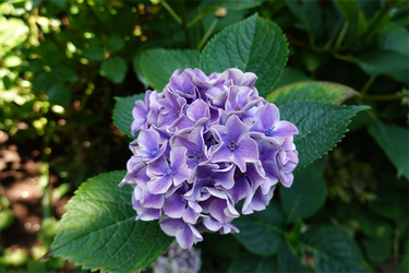 DSC03036_R