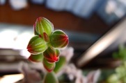 DSCF0486_R