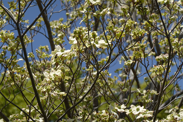 DSC06638_R