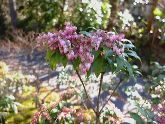 DSCF8429_R