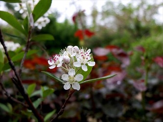 DSCF9475_R