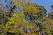 DSCF2050_R