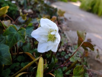 DSCF8542_R