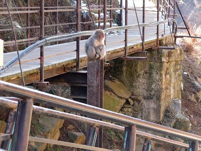 DSCF4414_R