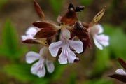 DSCF1288_R