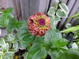 DSCF2405_R