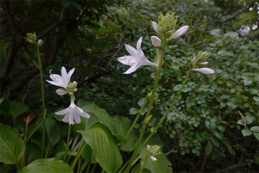 DSC08917_R