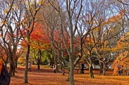 S0858197_R