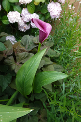 DSC08382_R