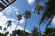 DSCF4309_R