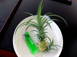 DSCF8883_R