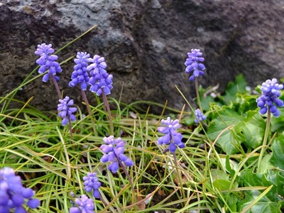 DSCF1171_R