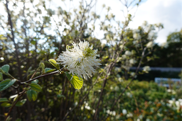 DSC06452_R