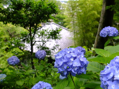 DSCF0373