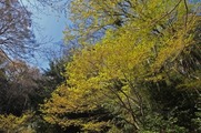 DSCF2045_R