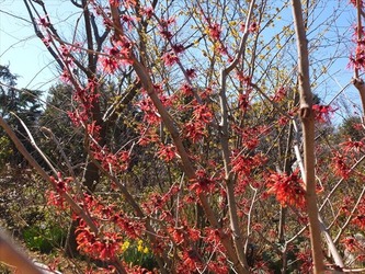 DSCF8247_R