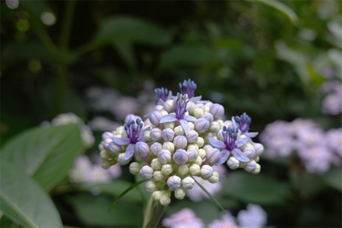 DSC08324_R