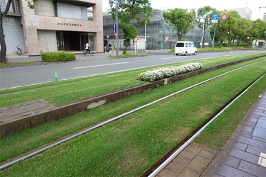 DSC01774_R