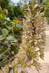 DSC08815_R