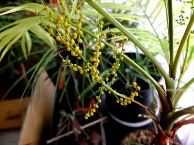 DSCF1282_R