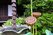 DSCF5120_R