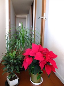 DSCF0487_R