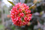 DSCF3464_R