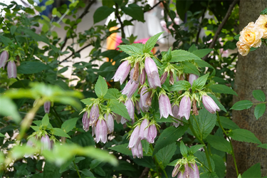 DSC08146_R
