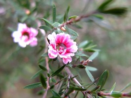 DSCF5168_R