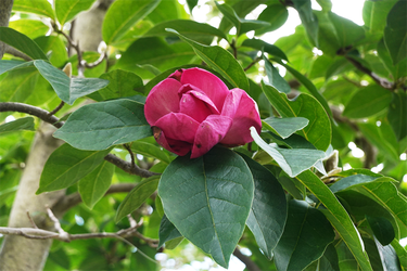 DSC08749_R