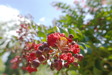 DSC09017_R