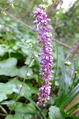 DSCF5341_R