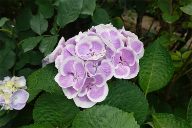 DSC08088_R