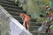 DSCF5023_R
