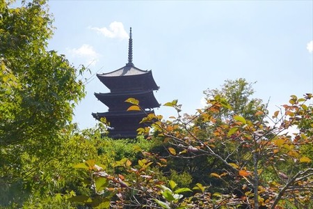 DSC02550_R