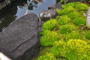DSCF3664_R