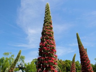 DSCF9314_R