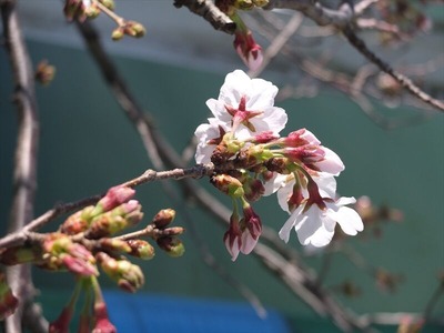 DSCF4826_R