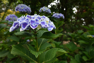 DSC08161_R